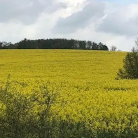 Apartmán Ankerplatz Mit Meerblick, & Hansapark Nah, Kostenlosen Parken, Pool *
